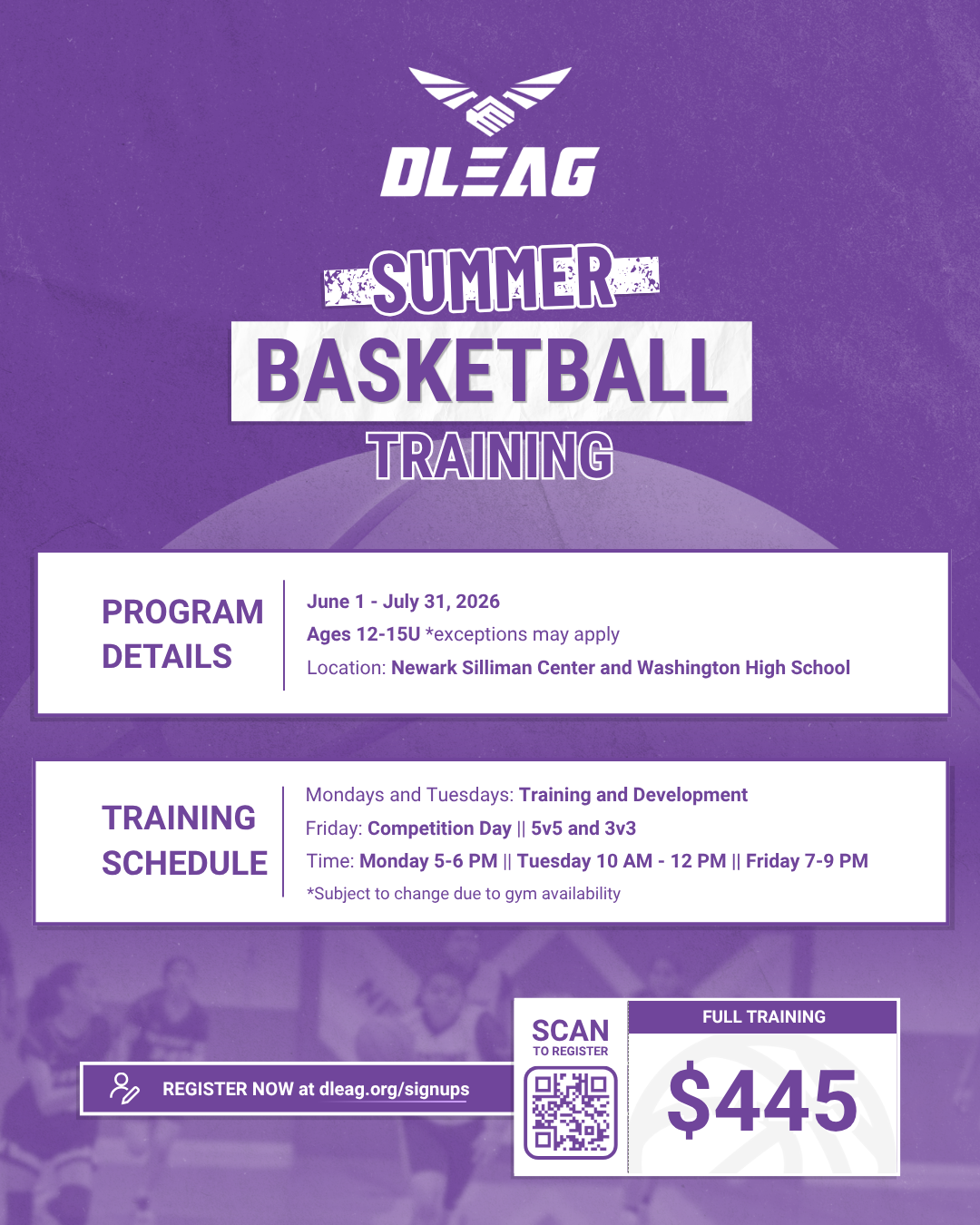 DLEAG - Summer Basketball Training Flyer